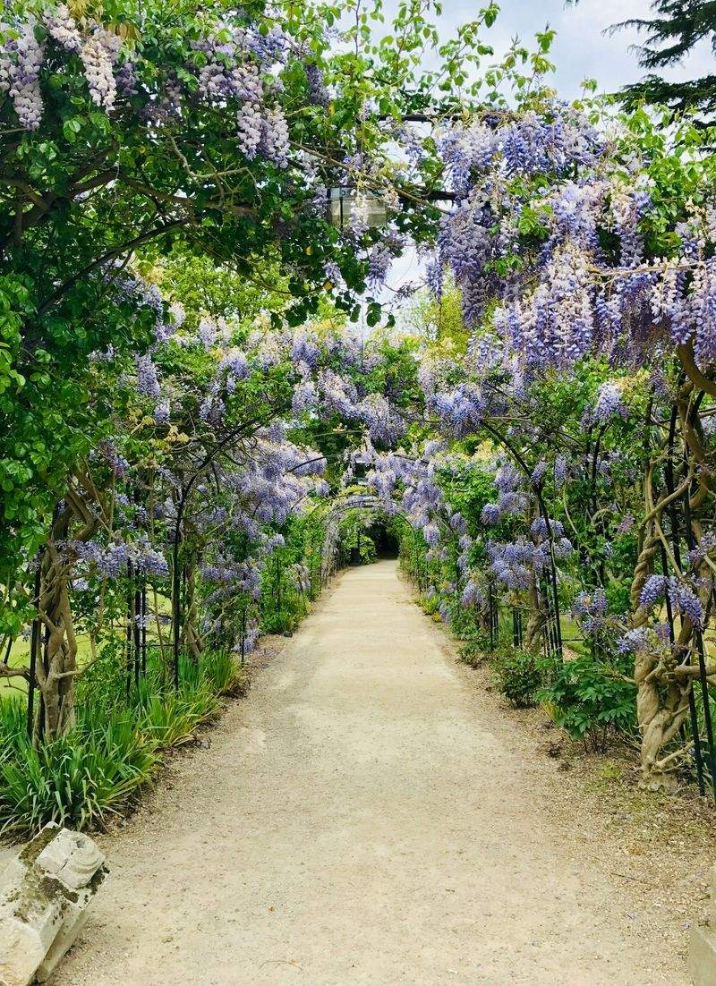 Préparer son jardin pour le printemps en toute sérénité