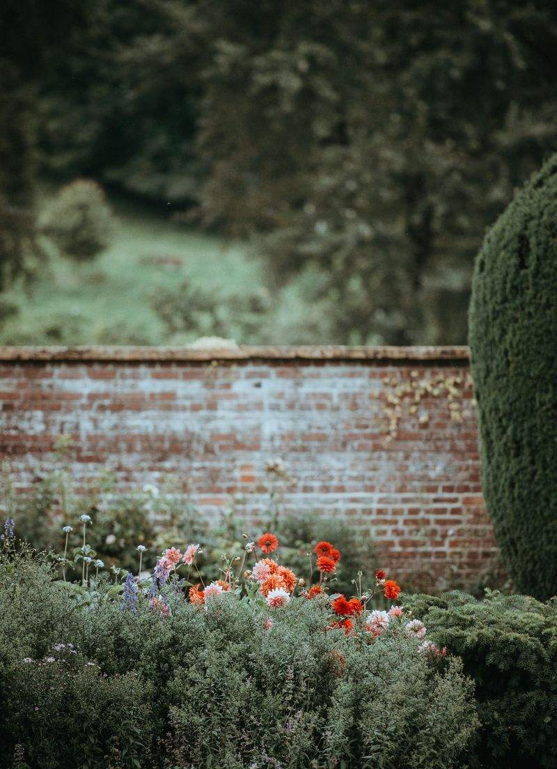 Élégance Jardin Services 13