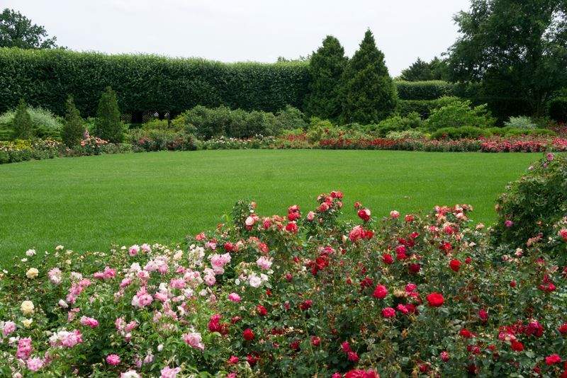 Élégance Jardin Services 14
