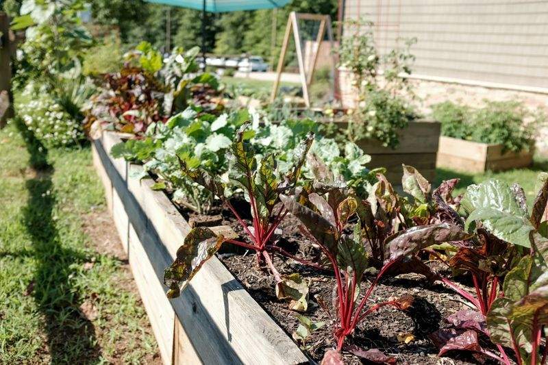 Élégance Jardin Services 6