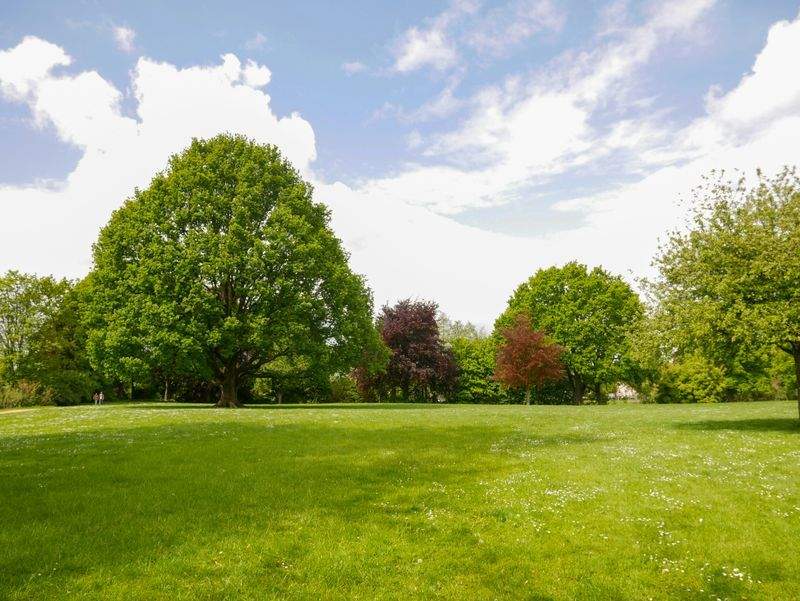 Élégance Jardin Services 9