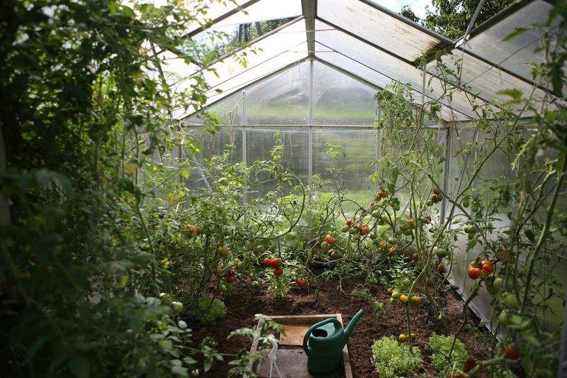 Élégance Jardin Services