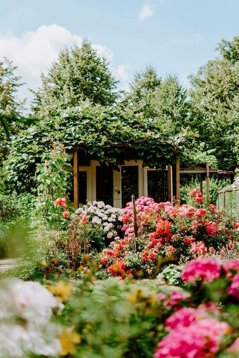 Plantation d'arbres, fleurs et végétaux